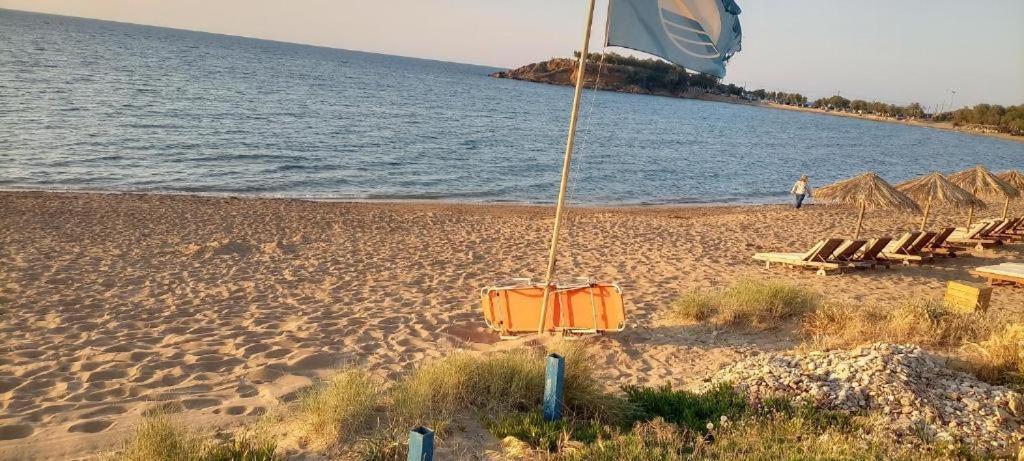 Stamatias Home, Fully Equipped Cottage 5 Minutes From The Sea ハニア エクステリア 写真