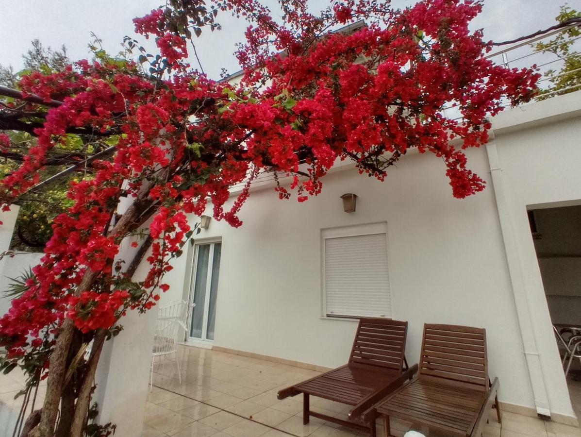Stamatias Home, Fully Equipped Cottage 5 Minutes From The Sea ハニア エクステリア 写真
