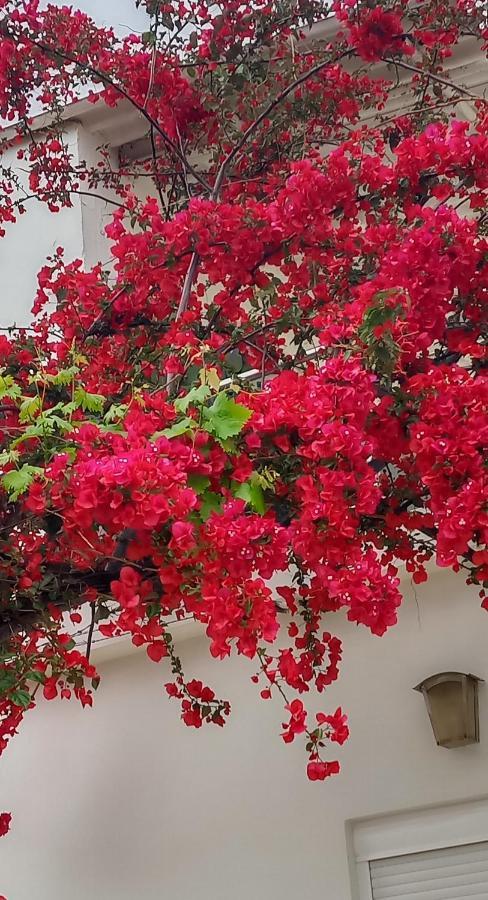 Stamatias Home, Fully Equipped Cottage 5 Minutes From The Sea ハニア エクステリア 写真